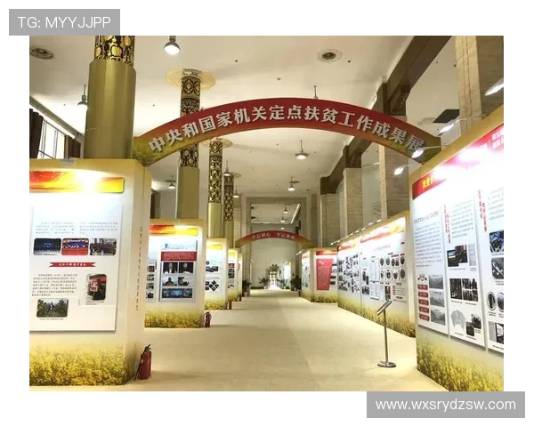 聚焦世界足坛巨星成长历程与荣耀传奇全景深度解码精彩瞬间集锦展